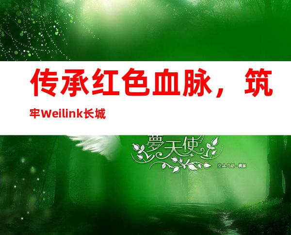 传承红色血脉，筑牢Weilink长城